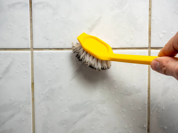 Best Black Mold Removal  in Portland, IN