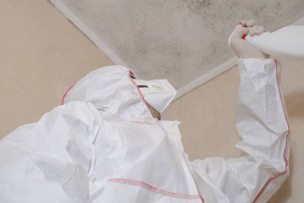 Best Residential Mold Removal  in Portland, IN