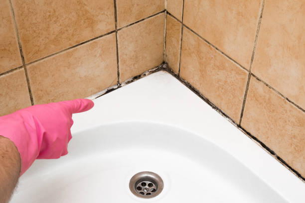 Best Crawl Space Mold Removal  in Portland, IN